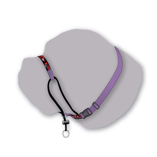 Black Dog Training Head Halter with Chin Clip - Large - Purple-Lucky Pet Supplies-The Equestrian