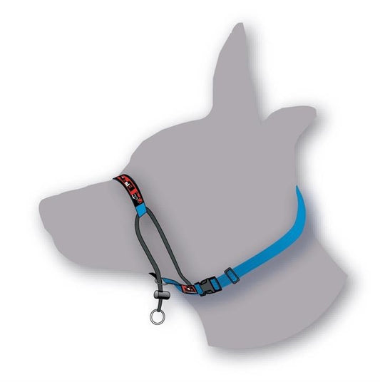 Black Dog Training Head Halter with Chin Clip - Medium - Blue-Lucky Pet Supplies-The Equestrian
