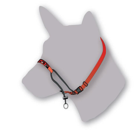 Black Dog Training Head Halter with Chin Clip - Medium - Red-Lucky Pet Supplies-The Equestrian