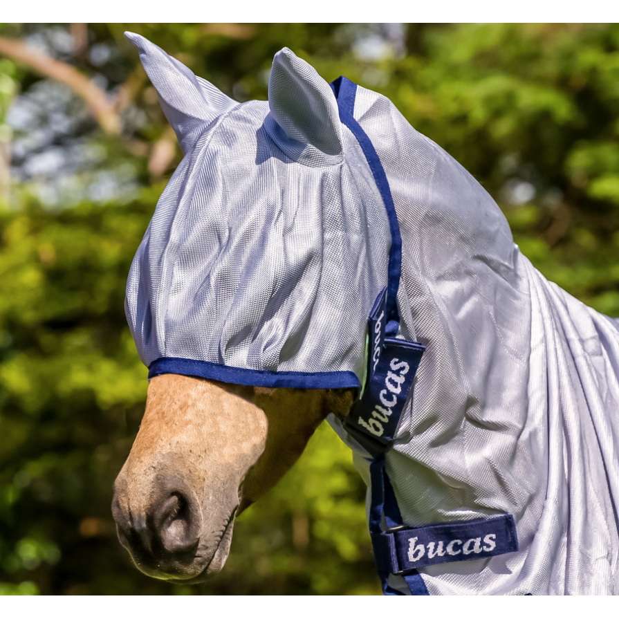 Horse wearing a grey and blue fly veil for horses.