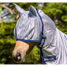 Horse wearing a grey and blue fly veil for horses.