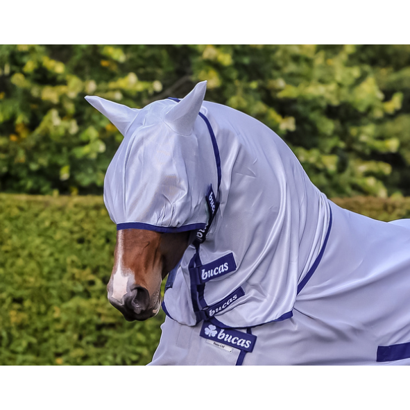 Horse wearing a light blue fly veil for horses.