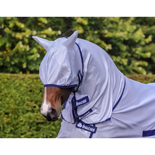 Horse wearing a light blue fly veil for horses.