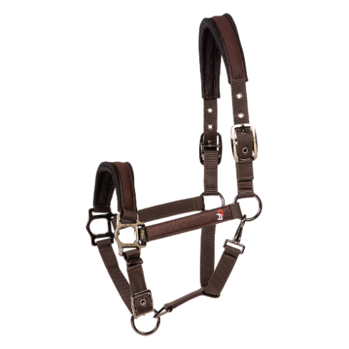 CA Performer Halter-Trailrace Equestrian Outfitters-The Equestrian