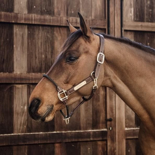 Kentucky Rope Leather Halter-Dapple EQ-The Equestrian