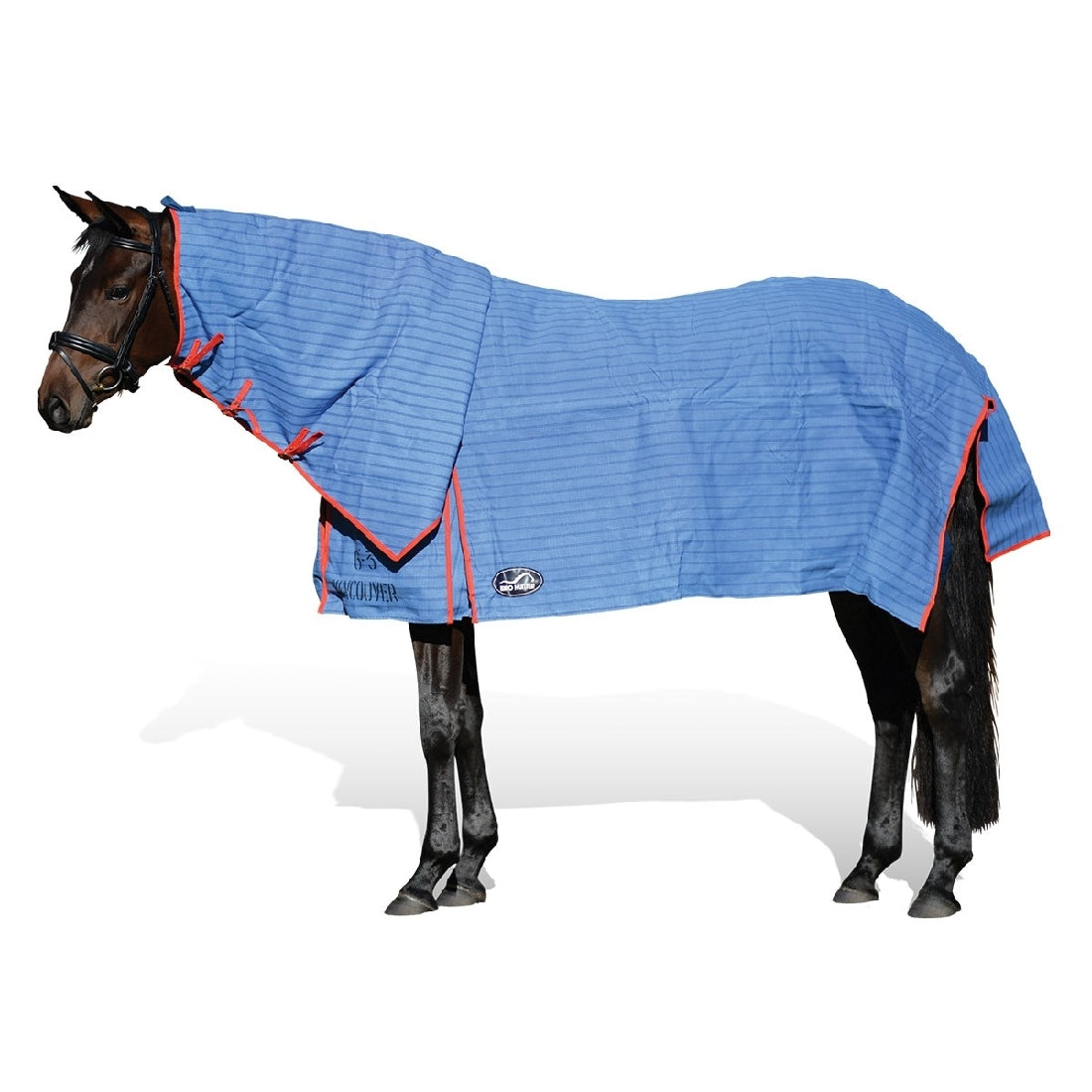 A horse covered with a blue Eurohunter horse rug, white background.