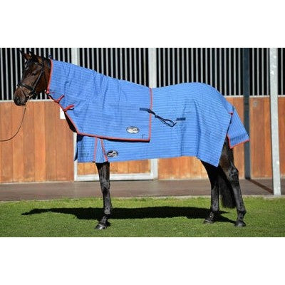 Horse wearing blue Eurohunter rug standing against a fence background.