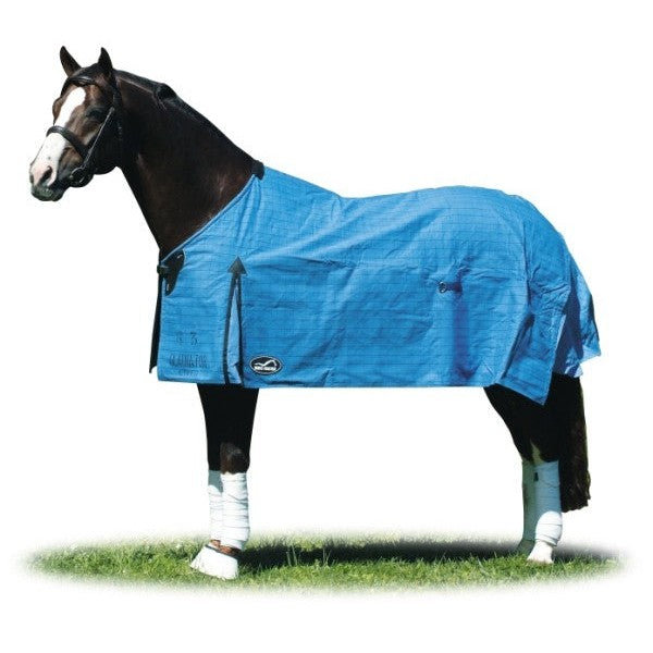 Horse wearing blue Eurohunter rug standing on grass.