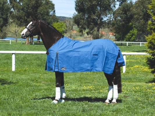 Horse wearing blue Eurohunter horse rug standing in a field.