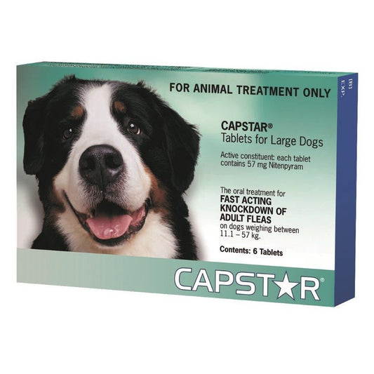 Capstar Dog 6x57mg-Ascot Saddlery-The Equestrian