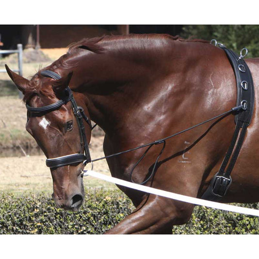 Chambon Elastic Neck Stretcher Zilco-Ascot Saddlery-The Equestrian