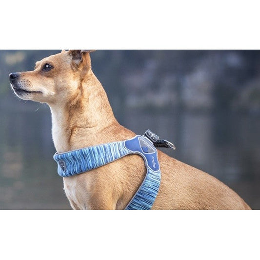Harness Dog Coralpina Powermix Blue Melange-Ascot Saddlery-The Equestrian