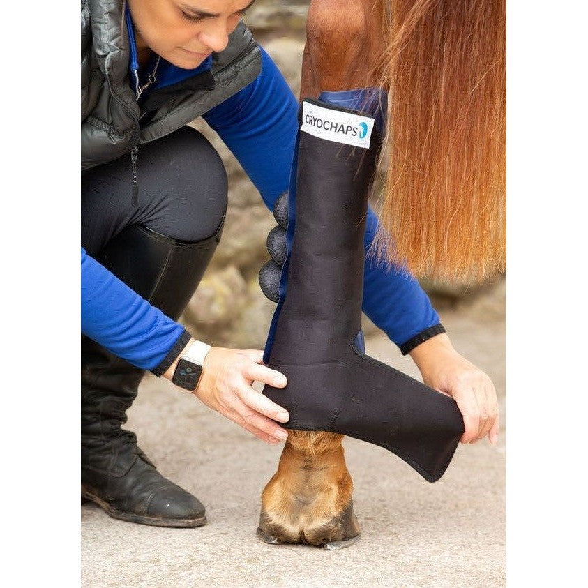 Ice Wrap Cryochaps K2f Pair Front-Ascot Saddlery-The Equestrian