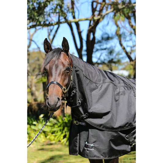 Deluxe Top/Rain Sheets-Diamond Deluxe Horsewear-The Equestrian