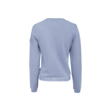 Cavallo DELLA Jumper-Little Equine Co-The Equestrian