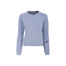 Cavallo DELLA Jumper-Little Equine Co-The Equestrian