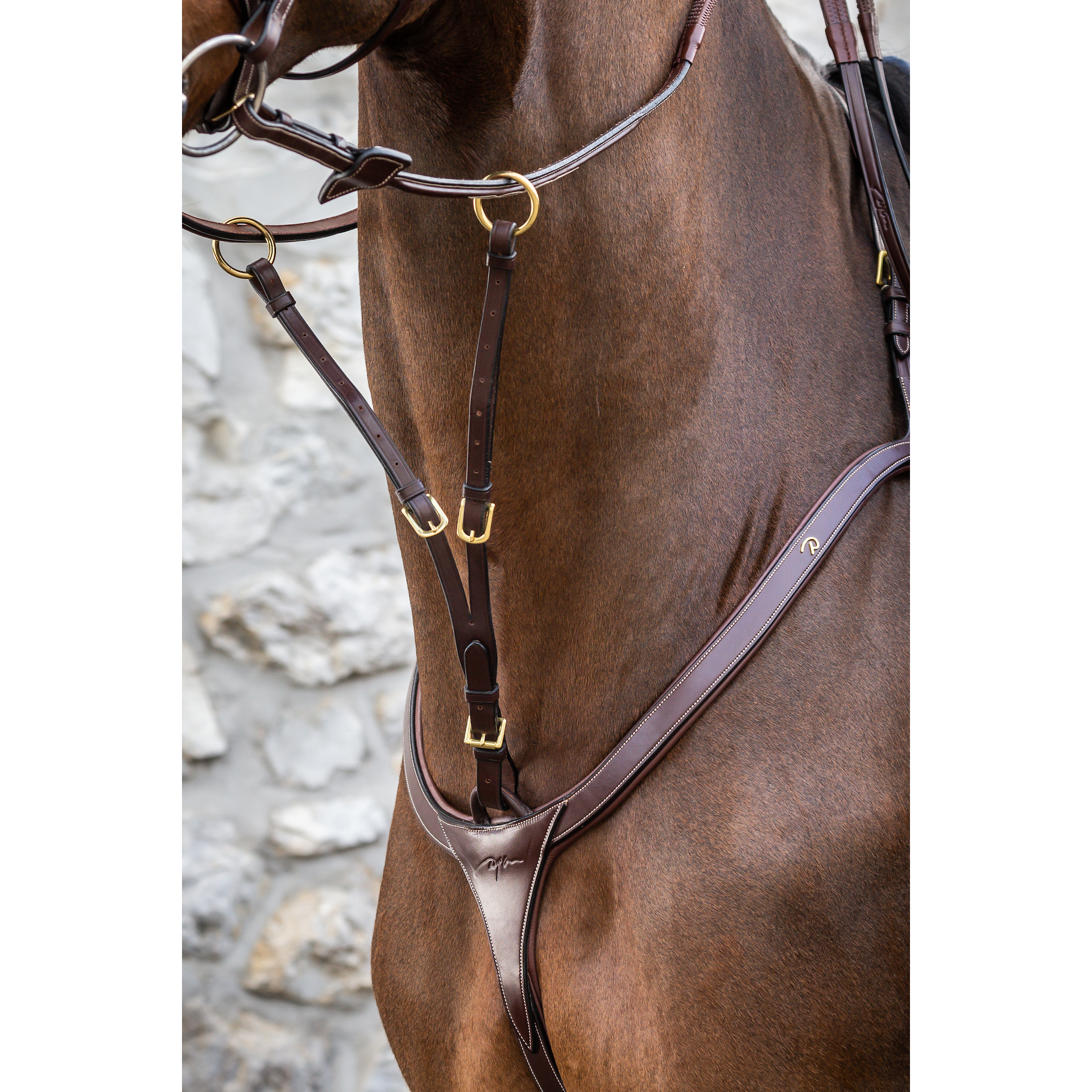 Dy'on D Collection Running Martingale Attachment Brown Full-Little Equine Co-The Equestrian