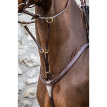 Dy'on D Collection Running Martingale Attachment Brown Full-Little Equine Co-The Equestrian