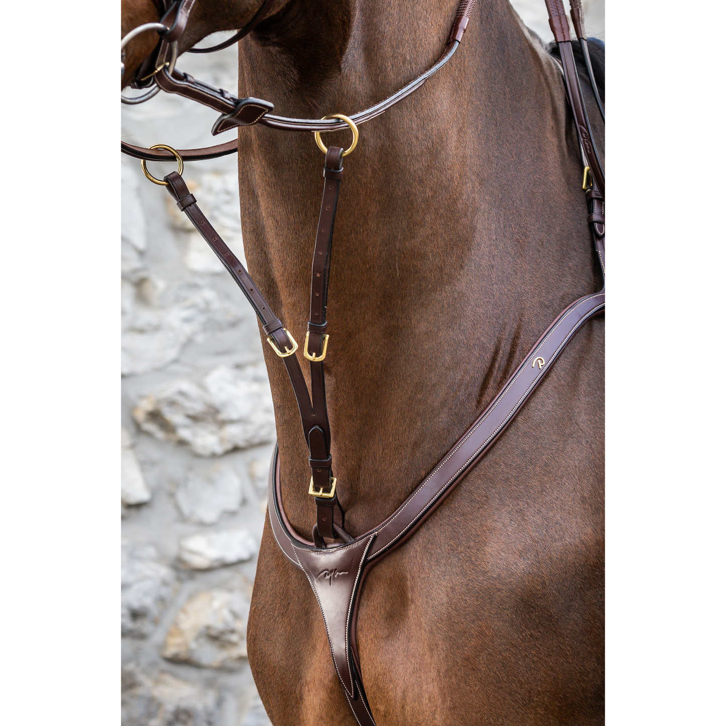 Dy'on D Collection Running Martingale Attachment Brown Full-Little Equine Co-The Equestrian