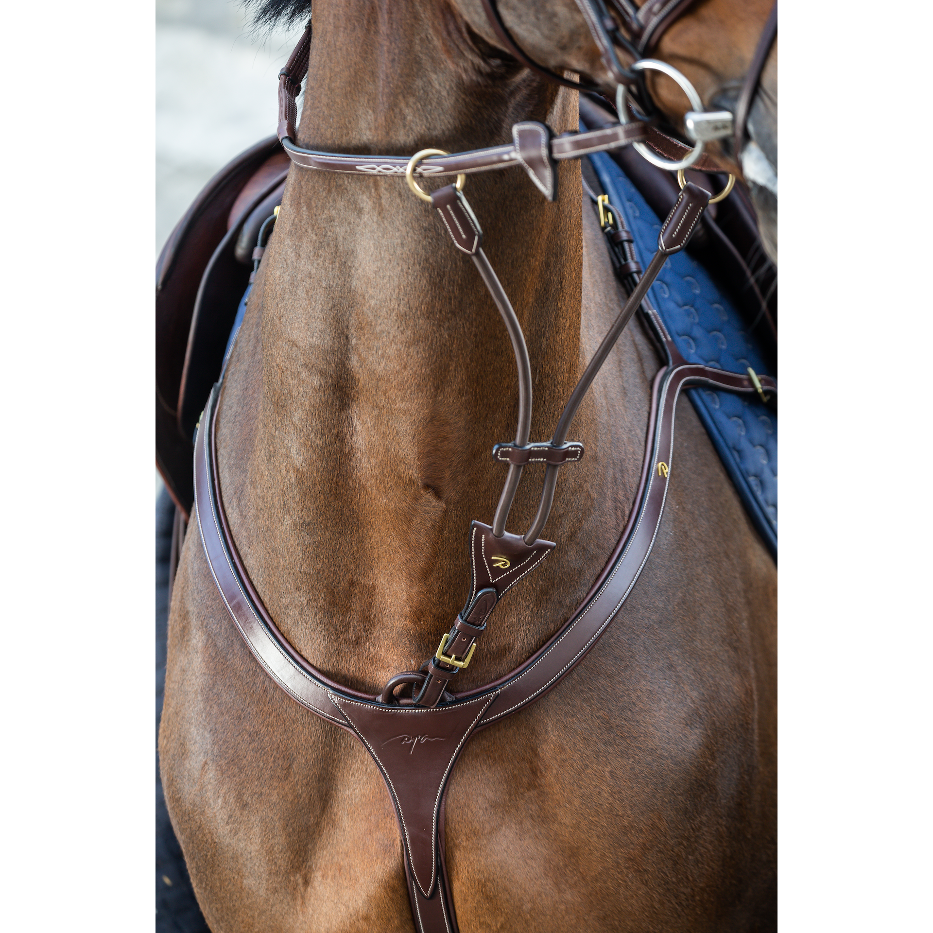 Dy'on D Collection Elastic Running Martingale Attachment Full Brown-Little Equine Co-The Equestrian