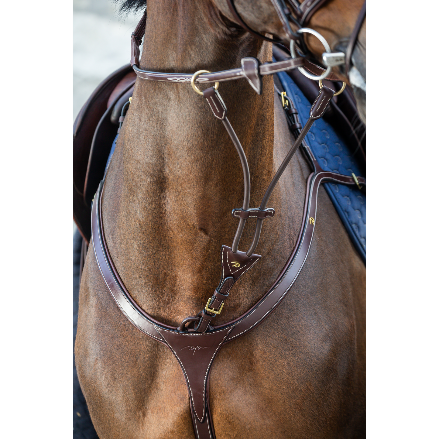Dy'on D Collection Elastic Running Martingale Attachment Full Brown-Little Equine Co-The Equestrian