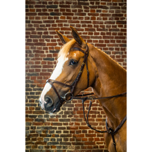 Dy'on X-Fit Bridle Brown Full D Collection-Little Equine Co-The Equestrian
