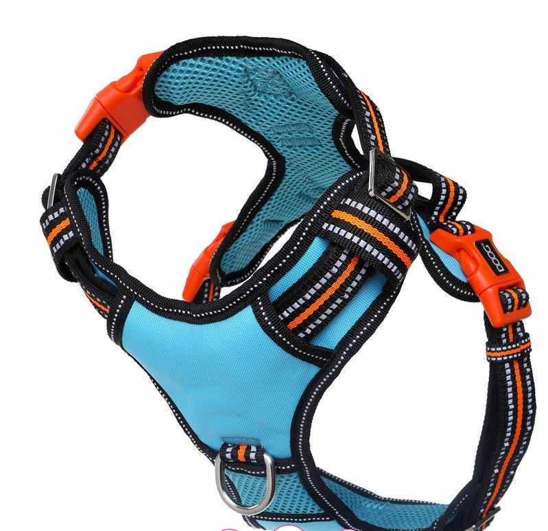 Harness Dog Doog Neotech Neon Beethoven-Ascot Saddlery-The Equestrian