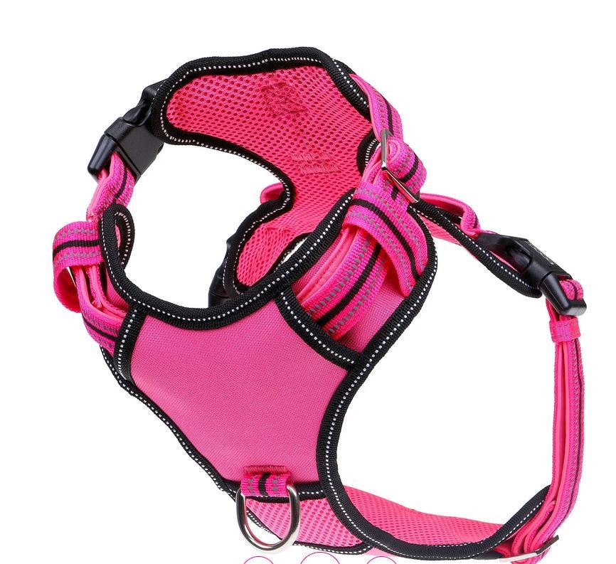 Harness Dog Doog Neotech Neon Lady-Ascot Saddlery-The Equestrian