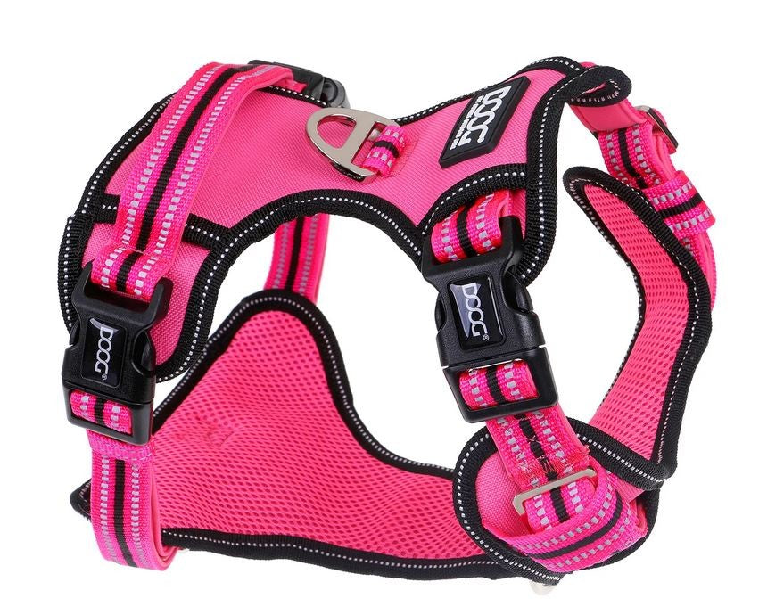 Harness Dog Doog Neotech Neon Lady-Ascot Saddlery-The Equestrian