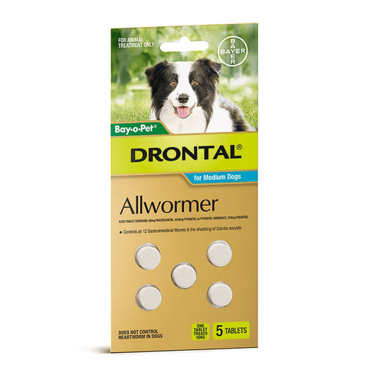 Drontal Chew 10kg Medium Dog 6 Pack-Ascot Saddlery-The Equestrian