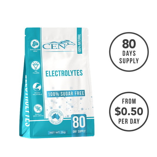 Blue and white electrolytes packet, 80 days supply indicated.