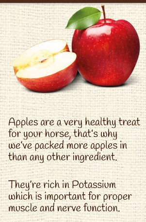 Horse Treat Equine Pure Delights Apple Cinnamon Molasses-Ascot Saddlery-The Equestrian