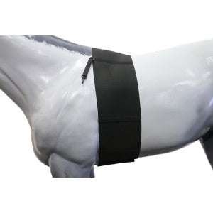 Body Bandage Elastic Equiprene-Ascot Saddlery-The Equestrian