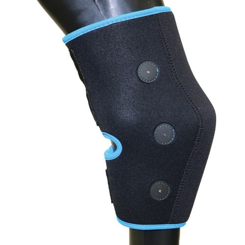 A black magnetic leg protection for horses with blue trim.