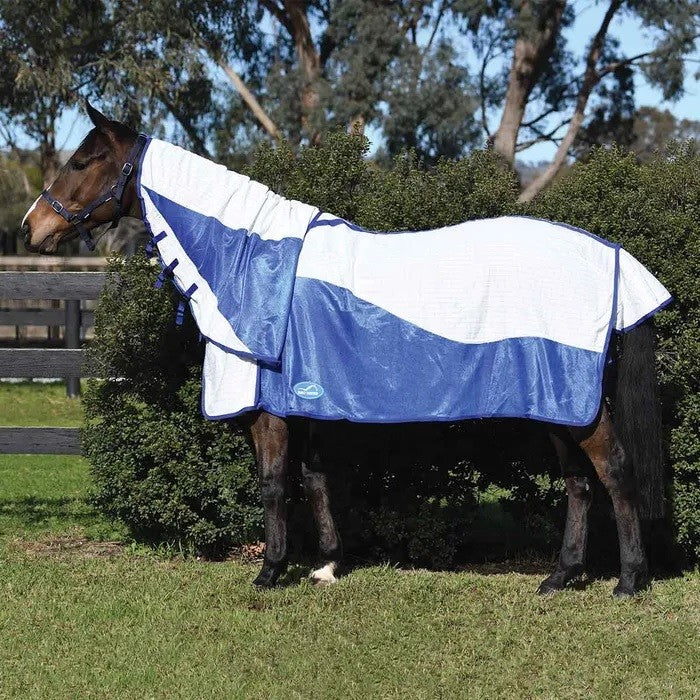 Horse wearing a blue and white Eurohunter horse rug outside.