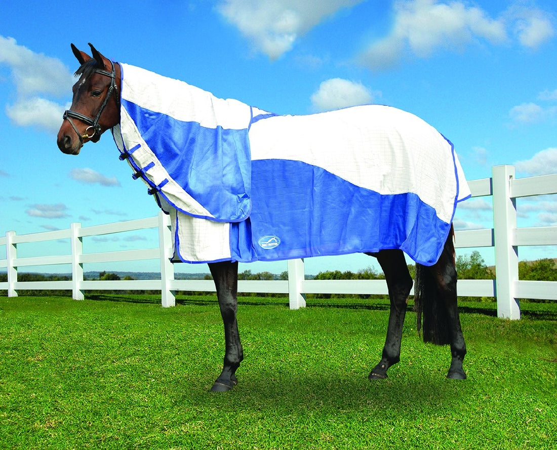 Horse in pasture wearing a blue and white Eurohunter horse rug.