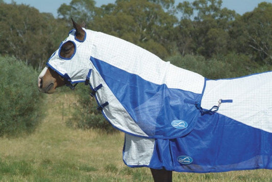 Horse wearing a blue and white Eurohunter horse rug outdoors.