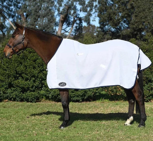 Bay horse standing outdoors wearing white Eurohunter horse rug.