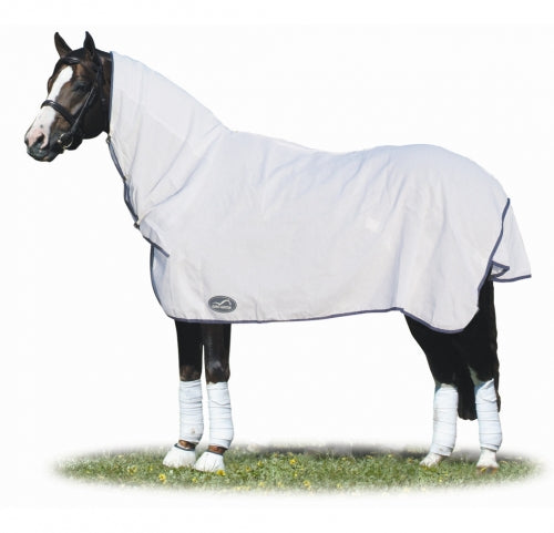 Horse wearing a gray Eurohunter horse rug standing on grass.