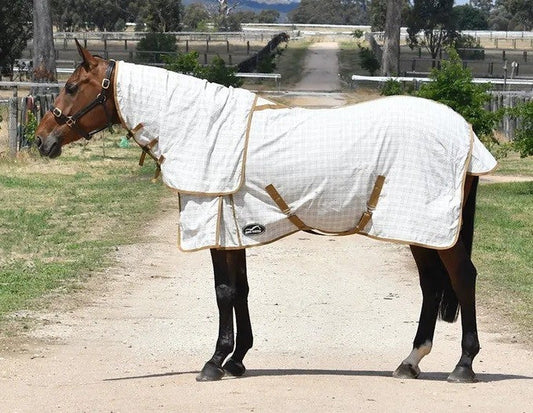 Bay horse covered with a Eurohunter horse rug standing outdoors.