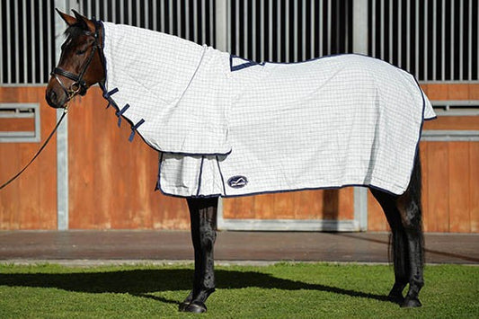 Horse wearing a white and blue Eurohunter horse rug standing.