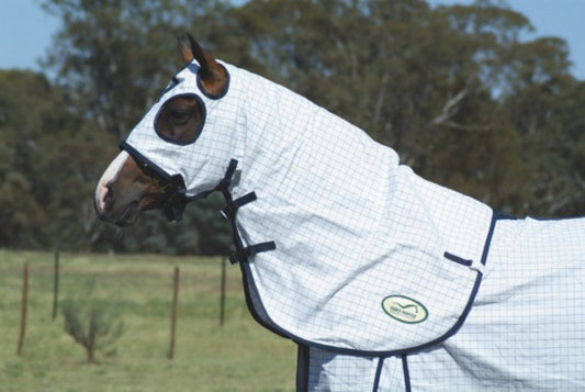 Horse wearing white checkered Eurohunter horse rug in a field.