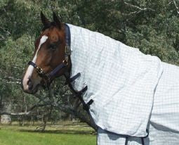 Horse in field wearing checkered Eurohunter horse rug, head visible.