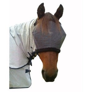 Horse wearing fly veil and blanket, protecting from insects.