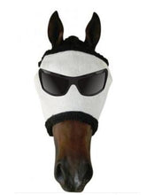 Horse wearing fly veil with attached sunglasses for protection.