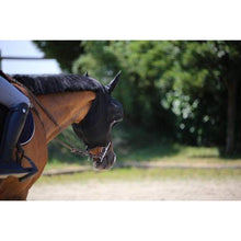 Kentucky Slim Fit Fly Mask-Dapple EQ-The Equestrian