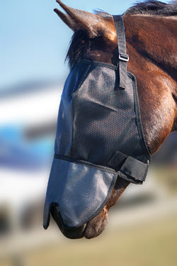 Horse wearing a black fly veil for horses outside.