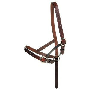 Foal Catcher Leather Foal Weanling-Ascot Saddlery-The Equestrian