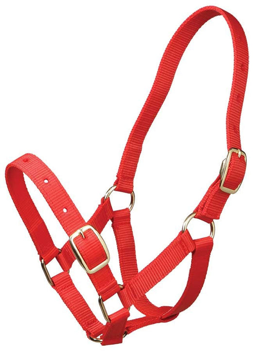 Foal Headstall Gymkhana Red-Ascot Saddlery-The Equestrian