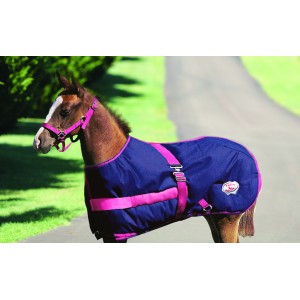 Foal Rug Growing Thermomaster Navy & Pink-Ascot Saddlery-The Equestrian